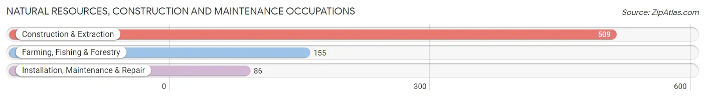Natural Resources, Construction and Maintenance Occupations in Zip Code 29102