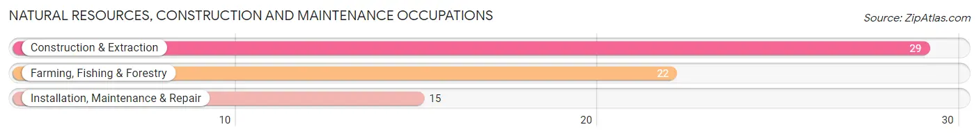 Natural Resources, Construction and Maintenance Occupations in Zip Code 29481