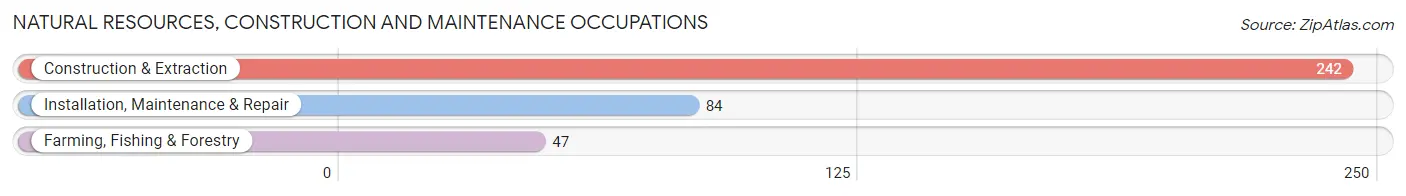 Natural Resources, Construction and Maintenance Occupations in Zip Code 30535