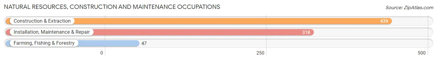 Natural Resources, Construction and Maintenance Occupations in Zip Code 30677