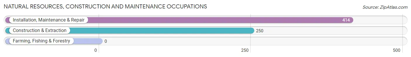 Natural Resources, Construction and Maintenance Occupations in Zip Code 31216