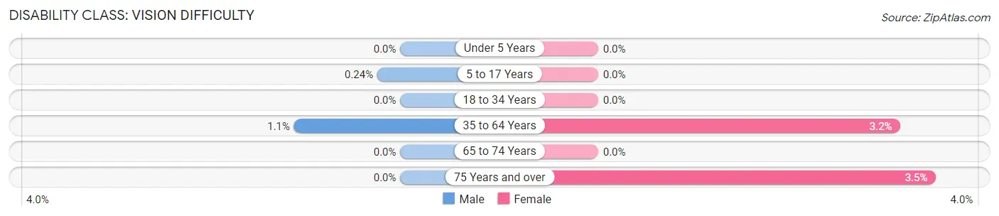 Disability in Zip Code 31410: <span>Vision Difficulty</span>