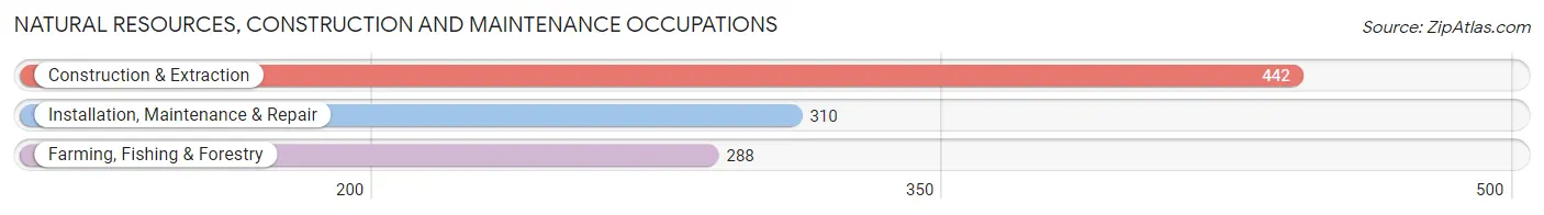 Natural Resources, Construction and Maintenance Occupations in Zip Code 31768