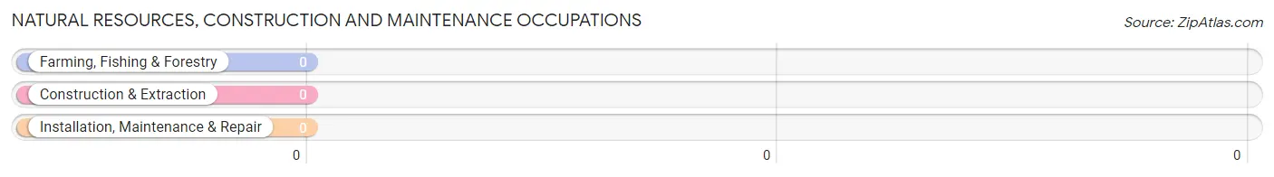 Natural Resources, Construction and Maintenance Occupations in Zip Code 34661