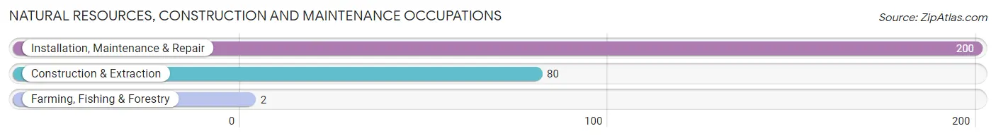 Natural Resources, Construction and Maintenance Occupations in Zip Code 35476