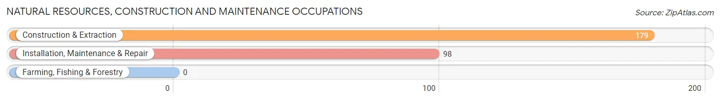Natural Resources, Construction and Maintenance Occupations in Zip Code 35646