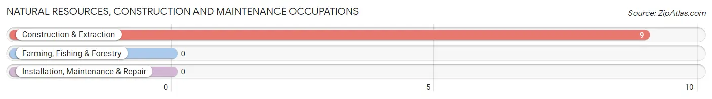 Natural Resources, Construction and Maintenance Occupations in Zip Code 35755