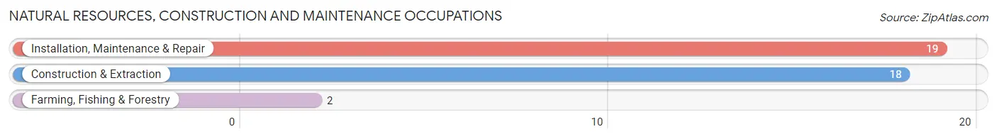 Natural Resources, Construction and Maintenance Occupations in Zip Code 37309