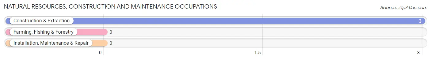 Natural Resources, Construction and Maintenance Occupations in Zip Code 37350