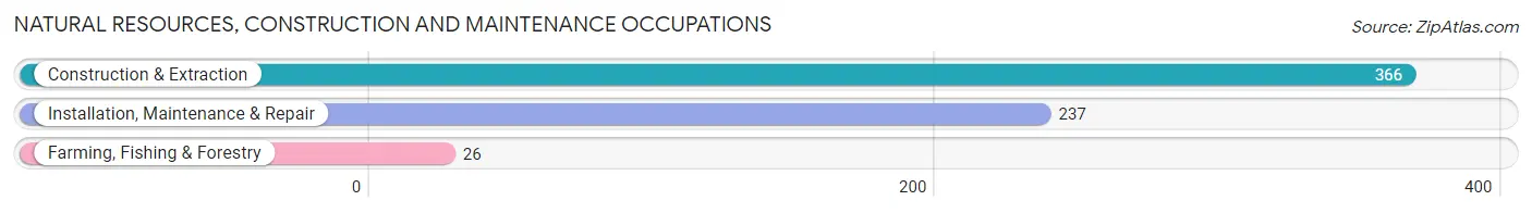 Natural Resources, Construction and Maintenance Occupations in Zip Code 37385