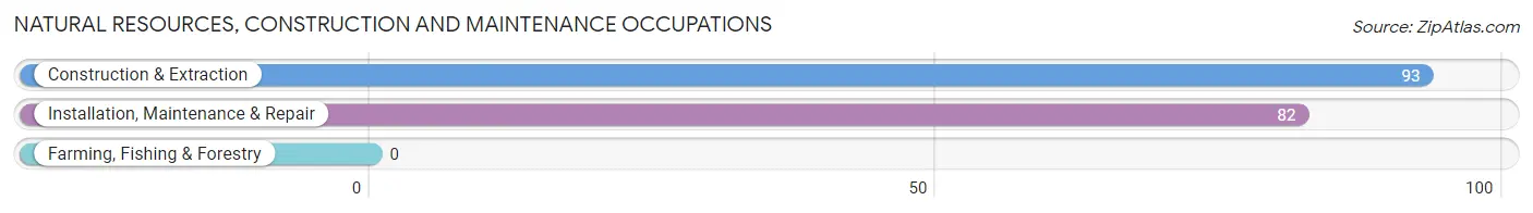 Natural Resources, Construction and Maintenance Occupations in Zip Code 37853