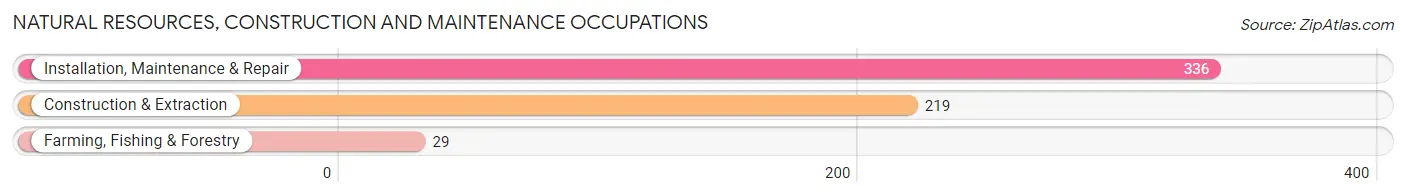 Natural Resources, Construction and Maintenance Occupations in Zip Code 37934