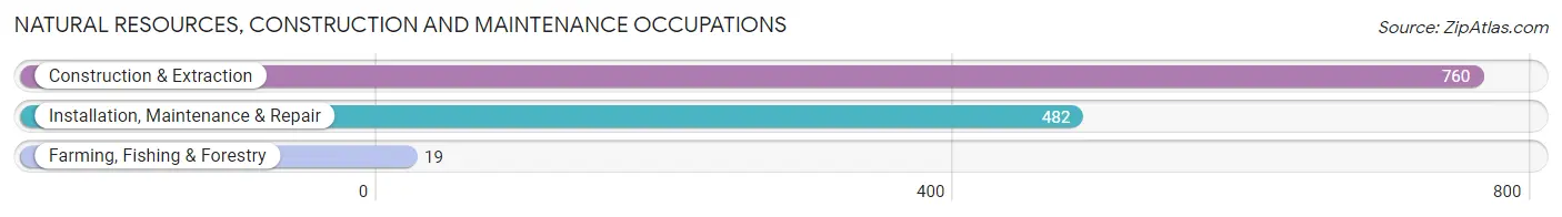 Natural Resources, Construction and Maintenance Occupations in Zip Code 38053