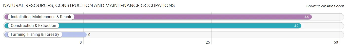 Natural Resources, Construction and Maintenance Occupations in Zip Code 38105