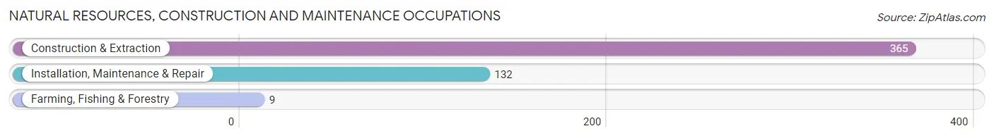 Natural Resources, Construction and Maintenance Occupations in Zip Code 38261
