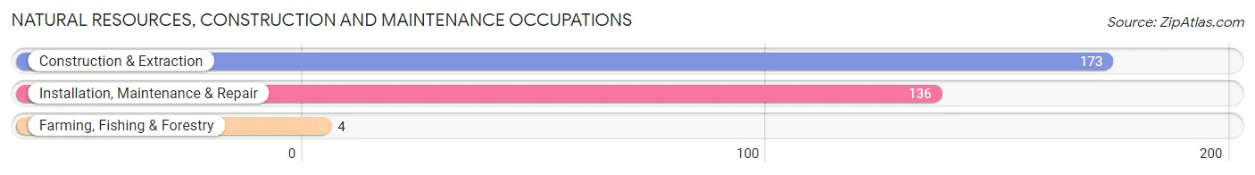 Natural Resources, Construction and Maintenance Occupations in Zip Code 38485