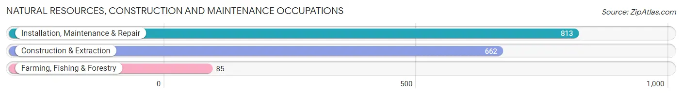 Natural Resources, Construction and Maintenance Occupations in Zip Code 38506