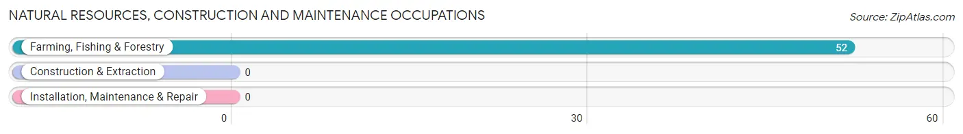 Natural Resources, Construction and Maintenance Occupations in Zip Code 38744