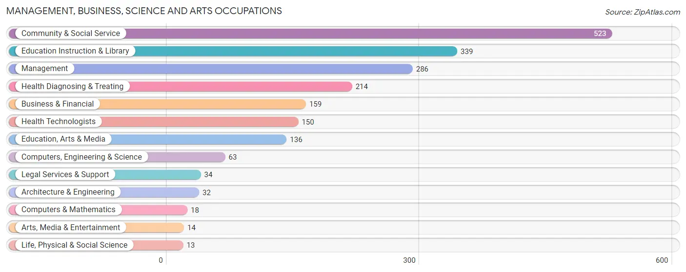 Management, Business, Science and Arts Occupations in Zip Code 39090