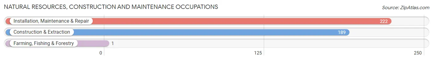 Natural Resources, Construction and Maintenance Occupations in Zip Code 39648