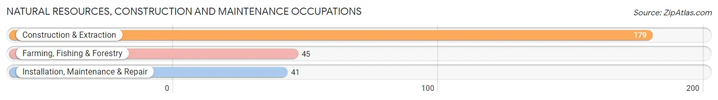 Natural Resources, Construction and Maintenance Occupations in Zip Code 39842