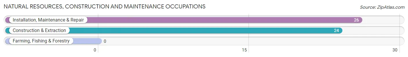 Natural Resources, Construction and Maintenance Occupations in Zip Code 39854