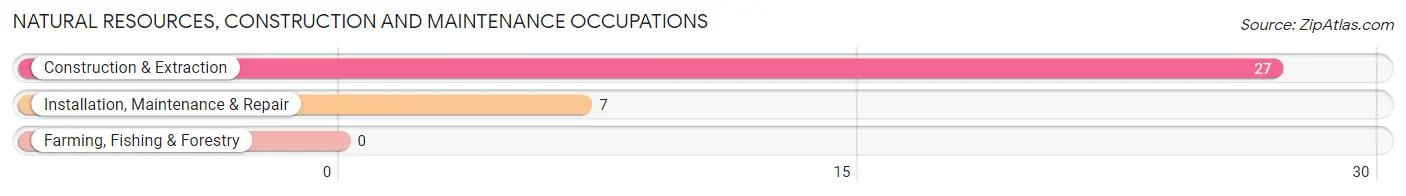 Natural Resources, Construction and Maintenance Occupations in Zip Code 40060