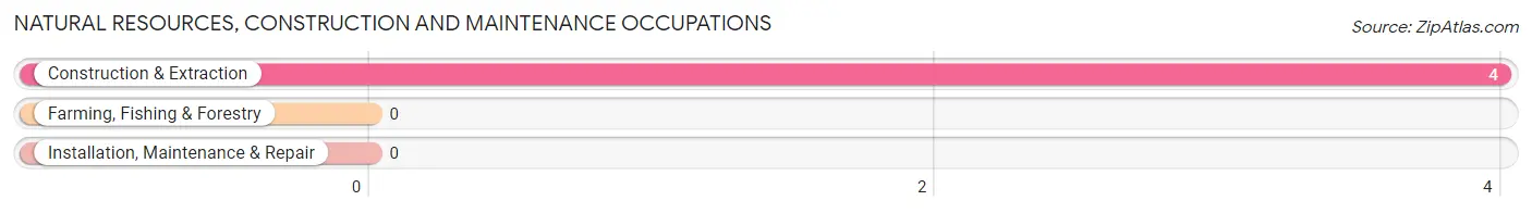 Natural Resources, Construction and Maintenance Occupations in Zip Code 40865