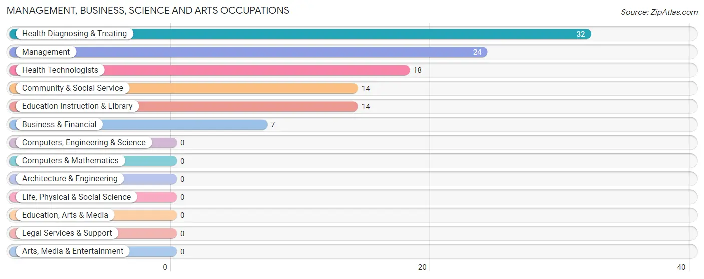 Management, Business, Science and Arts Occupations in Zip Code 41385