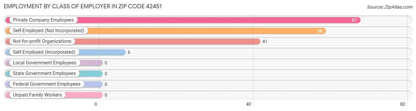 Employment by Class of Employer in Zip Code 42451