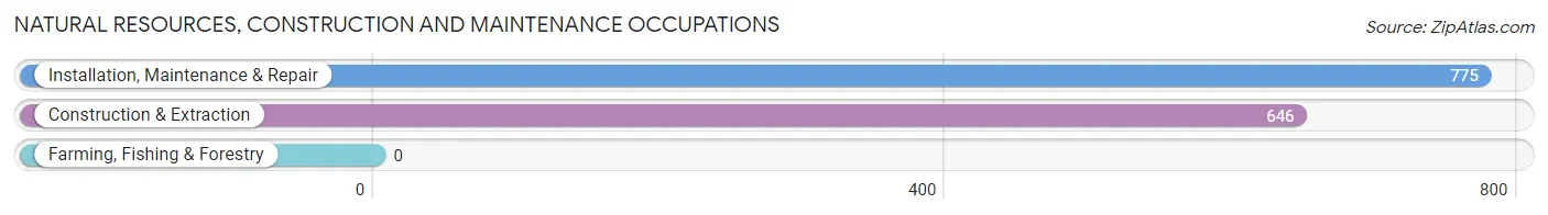 Natural Resources, Construction and Maintenance Occupations in Zip Code 43068