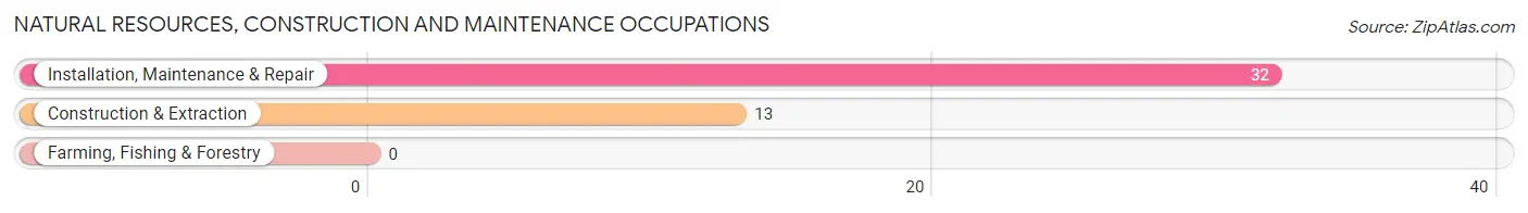 Natural Resources, Construction and Maintenance Occupations in Zip Code 43116