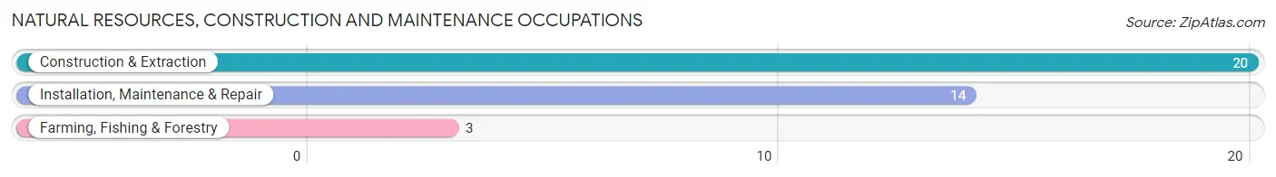 Natural Resources, Construction and Maintenance Occupations in Zip Code 43525
