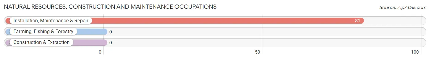 Natural Resources, Construction and Maintenance Occupations in Zip Code 43735