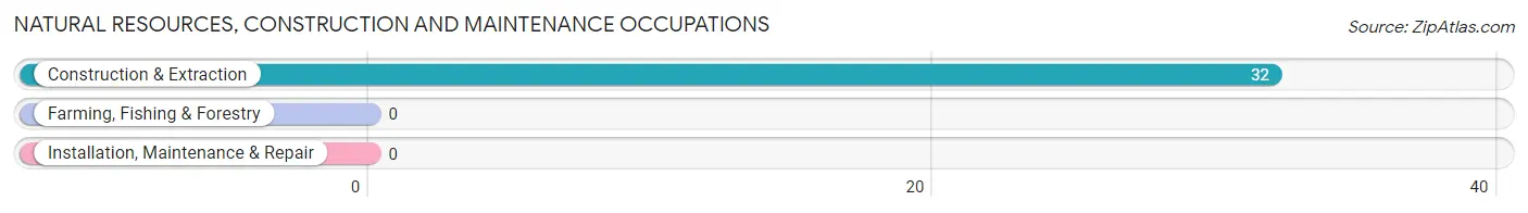 Natural Resources, Construction and Maintenance Occupations in Zip Code 43905