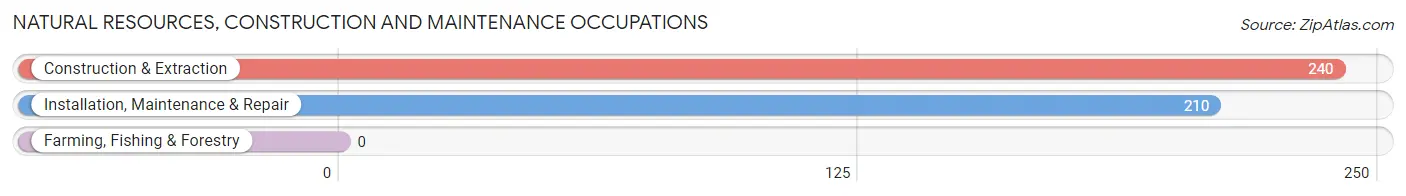 Natural Resources, Construction and Maintenance Occupations in Zip Code 43935