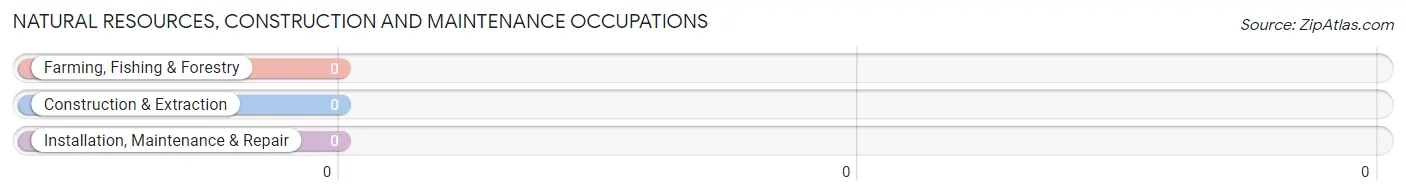 Natural Resources, Construction and Maintenance Occupations in Zip Code 45848