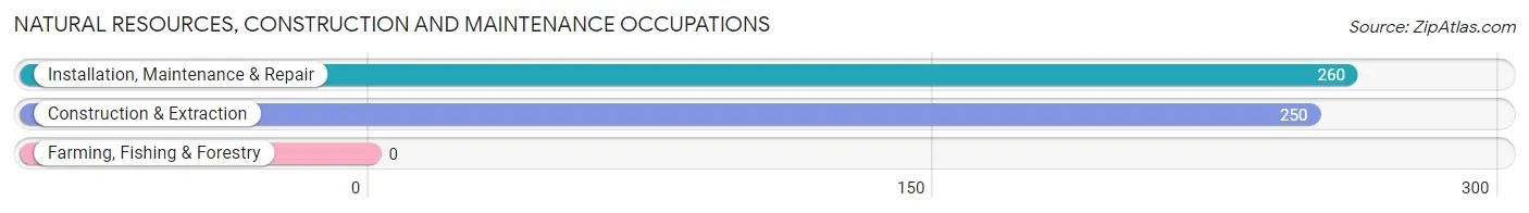Natural Resources, Construction and Maintenance Occupations in Zip Code 47122