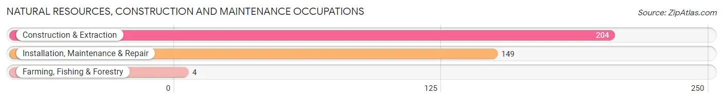 Natural Resources, Construction and Maintenance Occupations in Zip Code 49712