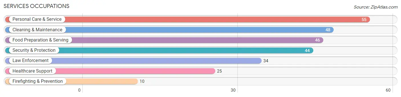 Services Occupations in Zip Code 50063