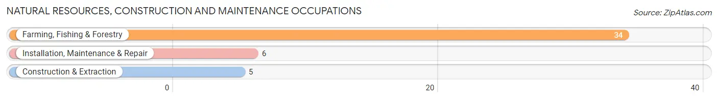 Natural Resources, Construction and Maintenance Occupations in Zip Code 50565