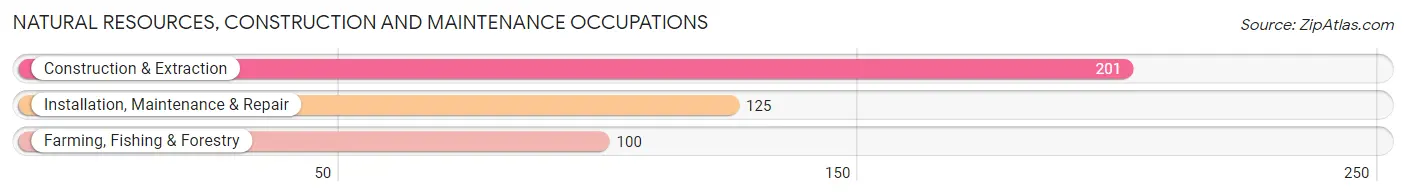 Natural Resources, Construction and Maintenance Occupations in Zip Code 50677