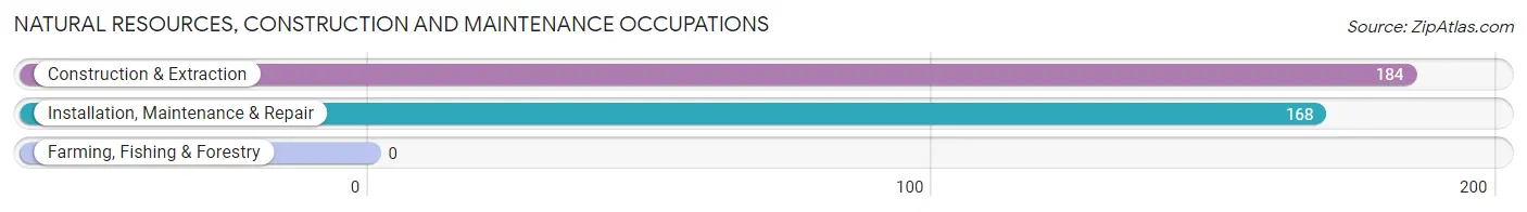 Natural Resources, Construction and Maintenance Occupations in Zip Code 55129