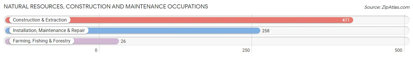 Natural Resources, Construction and Maintenance Occupations in Zip Code 55406