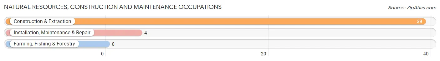 Natural Resources, Construction and Maintenance Occupations in Zip Code 55424