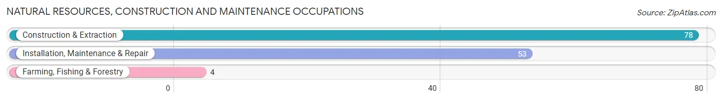 Natural Resources, Construction and Maintenance Occupations in Zip Code 55723