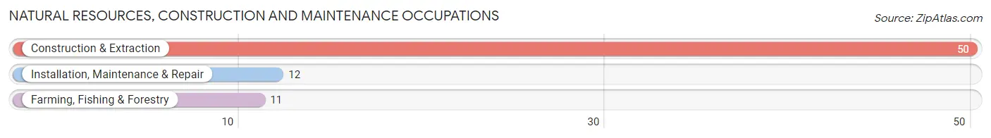 Natural Resources, Construction and Maintenance Occupations in Zip Code 55748