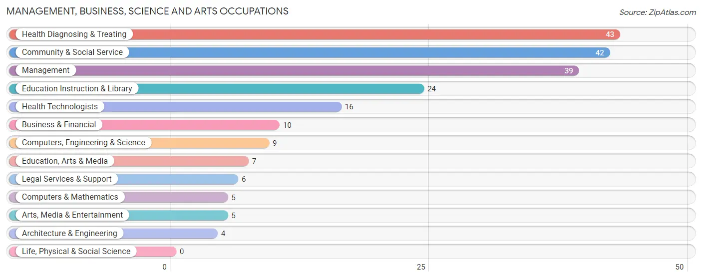 Management, Business, Science and Arts Occupations in Zip Code 55941