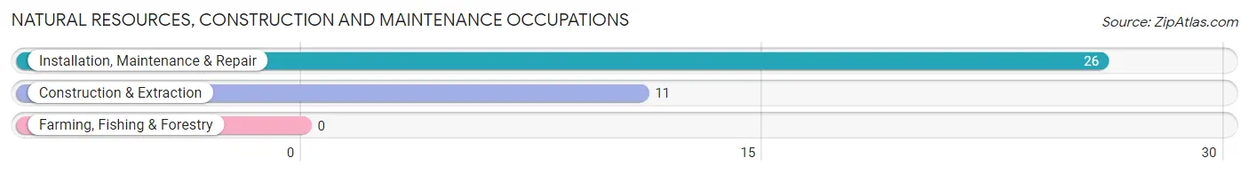 Natural Resources, Construction and Maintenance Occupations in Zip Code 56078