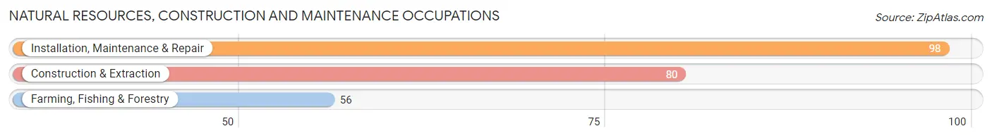 Natural Resources, Construction and Maintenance Occupations in Zip Code 56479